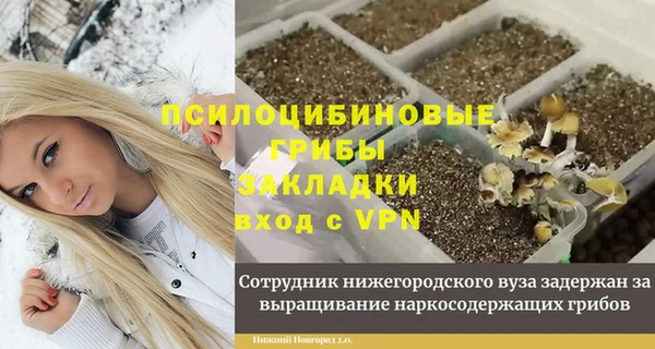 соль ск Алзамай