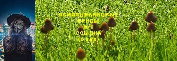 соль ск Алзамай